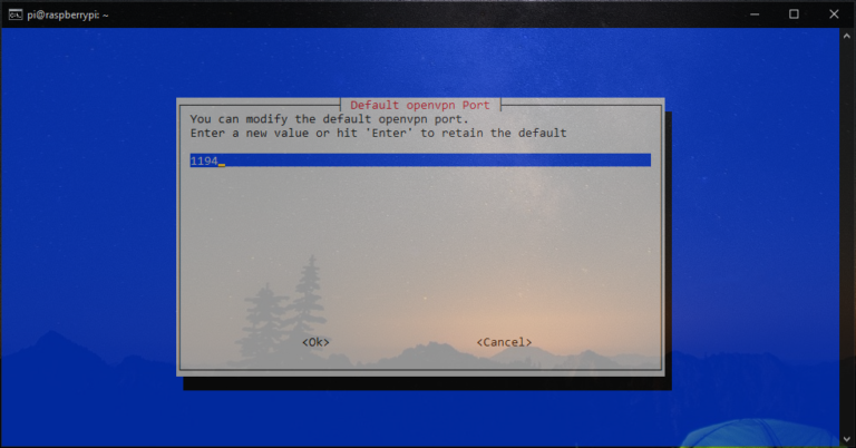 OpenVPN Raspberry Pi
